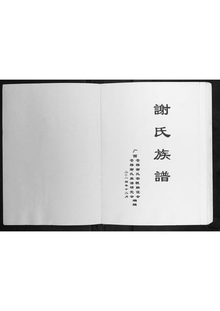 广西谢氏-谢氏族谱.pdf电子版预览图1