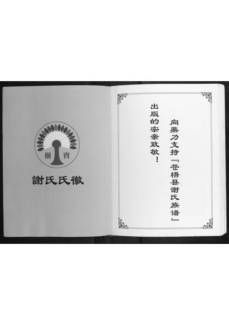 广西谢氏-谢氏族谱.pdf电子版预览图2