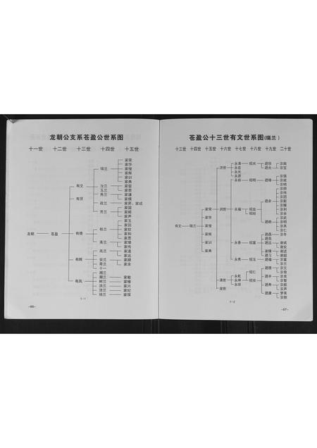 广西谢氏-谢氏族谱.pdf电子版预览图4