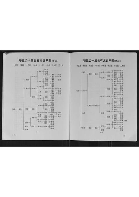 广西谢氏-谢氏族谱.pdf电子版预览图5
