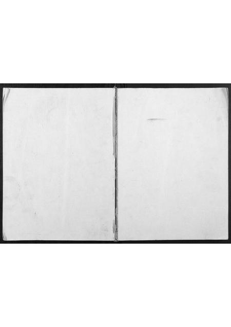 广西谢氏-谢氏族谱.帝长公家谱.pdf电子版缩略图