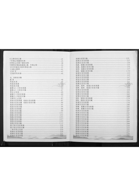 广西谢氏-谢氏族谱.帝长公家谱.pdf电子版预览图5