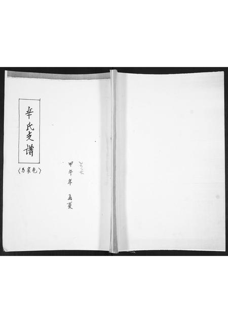 山东辛氏-辛氏支谱.pdf电子版缩略图