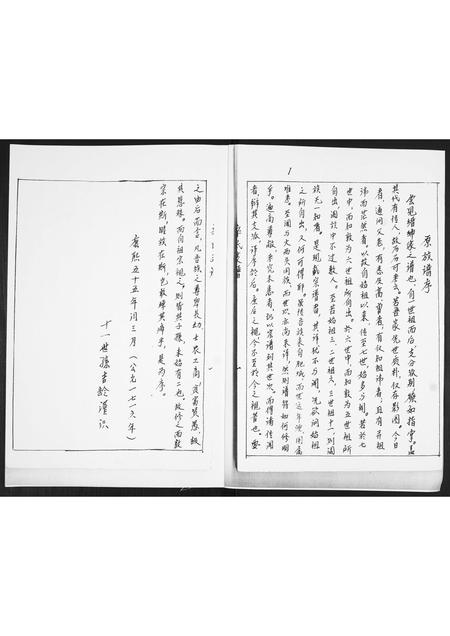 山东辛氏-辛氏支谱.pdf电子版预览图1