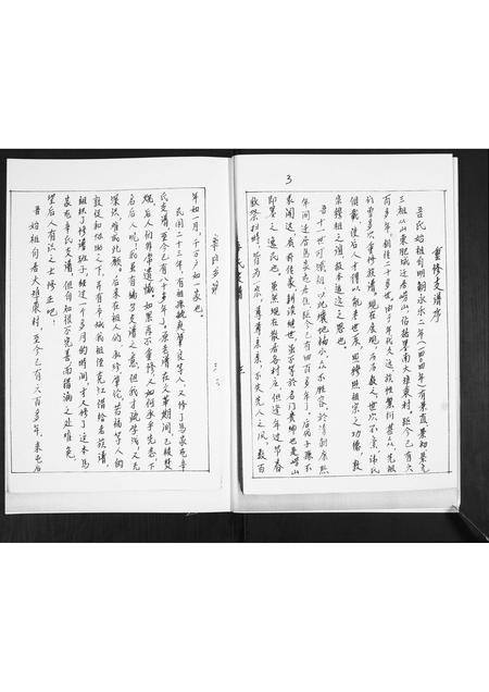 山东辛氏-辛氏支谱.pdf电子版预览图3