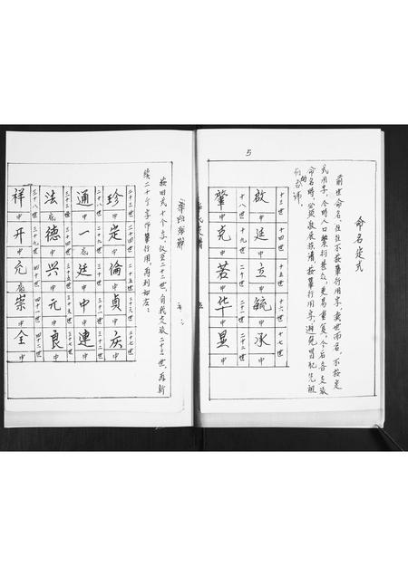 山东辛氏-辛氏支谱.pdf电子版预览图5