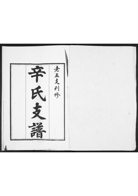 山东辛氏-辛氏支谱.pdf电子版预览图1