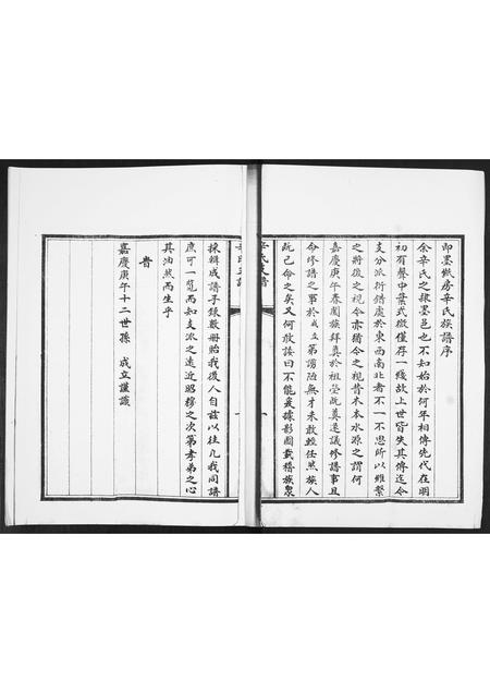 山东辛氏-辛氏支谱.pdf电子版预览图2