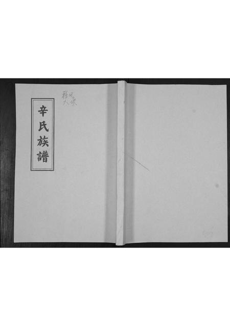 山东辛氏-辛氏族谱.pdf电子版缩略图