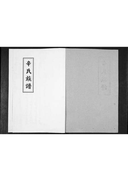 山东辛氏-辛氏族谱.pdf电子版预览图1