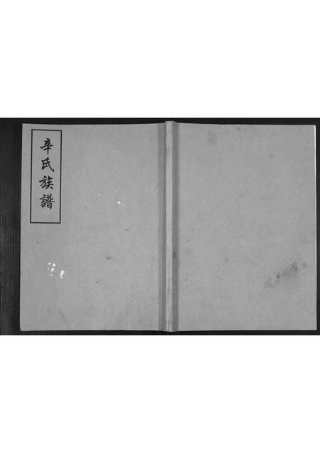 山东辛氏-辛氏族谱.pdf电子版缩略图