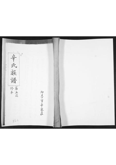 山东辛氏-辛氏族谱.pdf电子版缩略图