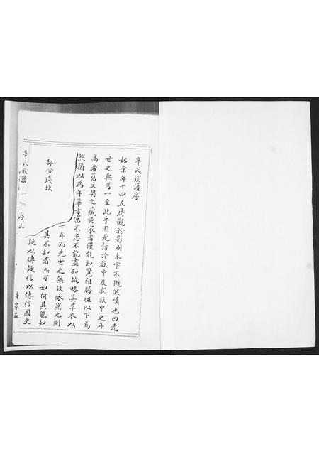 山东辛氏-辛氏族谱.pdf电子版预览图1