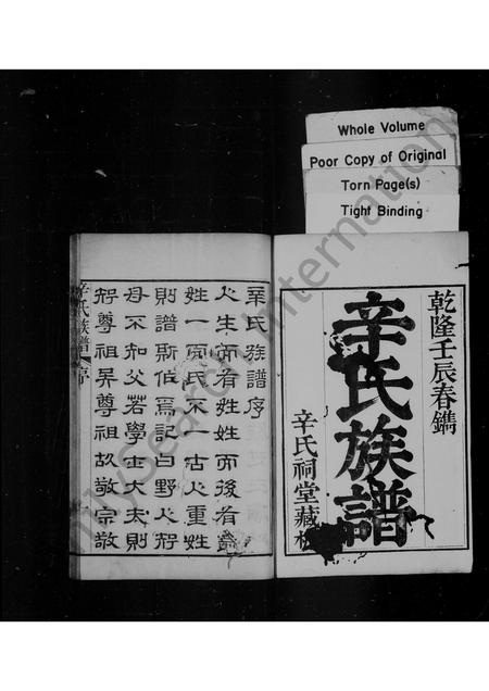 山东辛氏-辛氏族谱 [6卷].pdf电子版预览图1