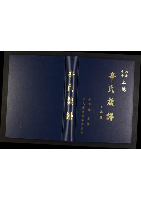 山西辛氏-辛氏族谱.pdf电子版缩略图