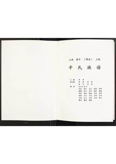 山西辛氏-辛氏族谱.pdf电子版预览图1