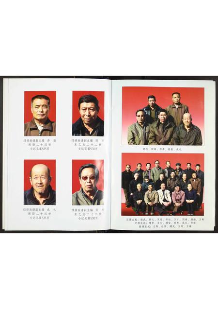 山西辛氏-辛氏族谱.pdf电子版预览图4