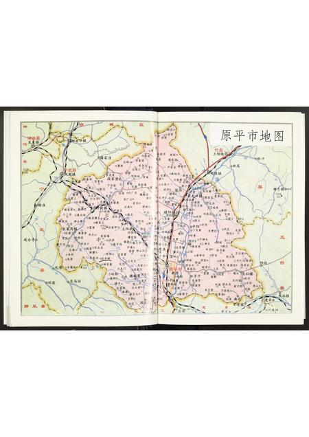 山西辛氏-辛氏族谱.pdf电子版预览图5