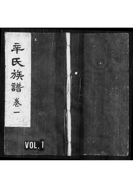 山西辛氏-辛氏族谱 [4卷].pdf电子版缩略图