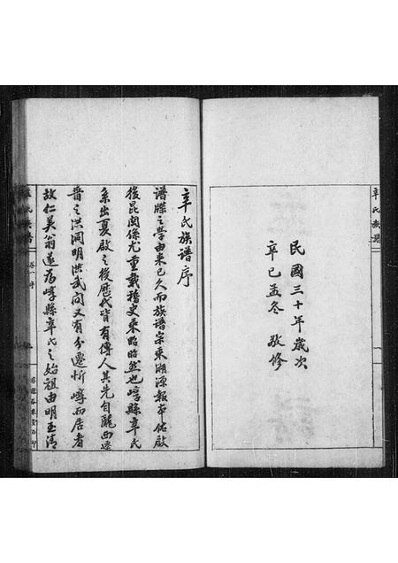 山西辛氏-辛氏族谱 [4卷].pdf电子版预览图2