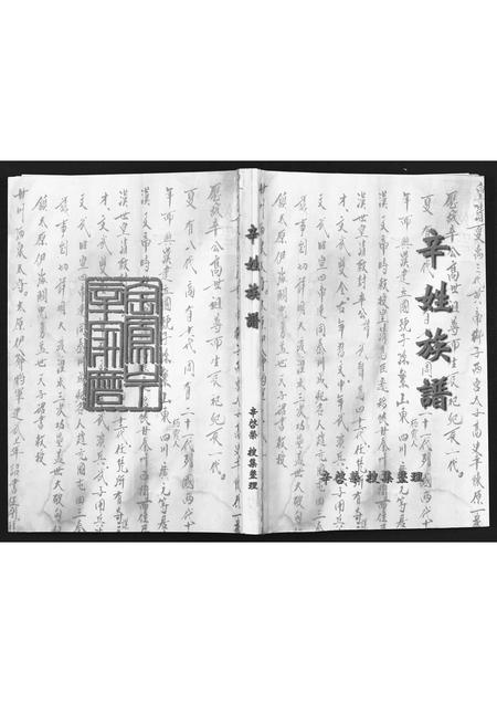甘肃辛氏-辛姓族谱[不分卷].pdf电子版缩略图