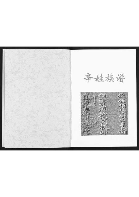 甘肃辛氏-辛姓族谱[不分卷].pdf电子版预览图2