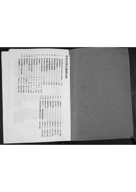 山东邢氏-山东费县邢氏族谱.pdf电子版预览图1