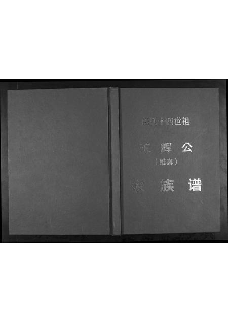 广西熊氏-熊氏十四世祖玉辉公家族谱.pdf电子版缩略图