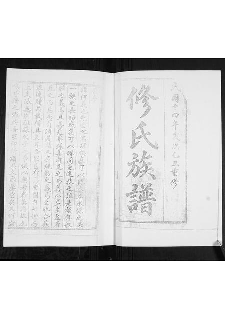 山东修氏-修氏族谱[不分卷].pdf电子版预览图1