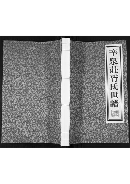 山东胥氏-胥氏世谱.pdf电子版缩略图
