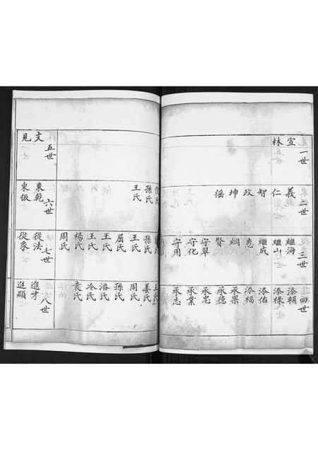 山东徐氏-徐氏支谱[不分卷].pdf电子版预览图2