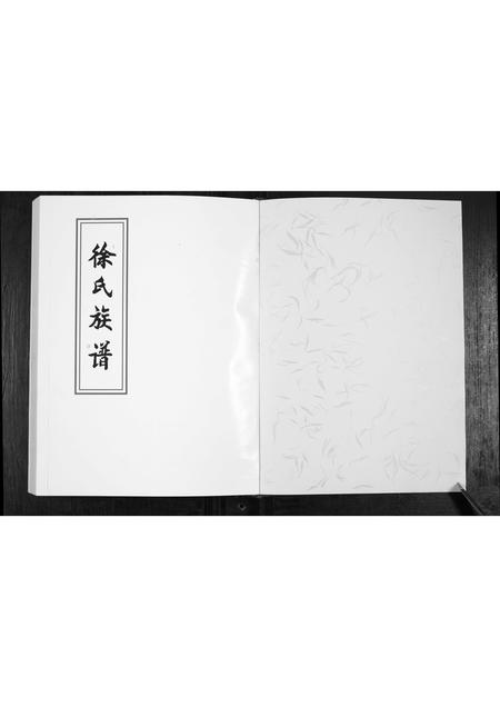 山东徐氏-徐氏族谱.pdf电子版预览图1