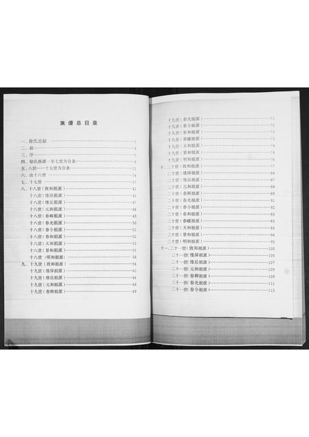 山东徐氏-徐氏族谱.pdf电子版预览图2