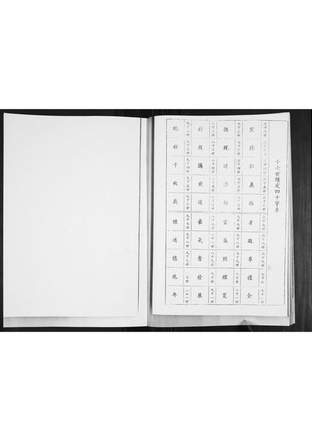 山东徐氏-徐氏族谱.pdf电子版预览图5