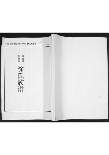 山东徐氏-徐氏族谱.pdf电子版缩略图