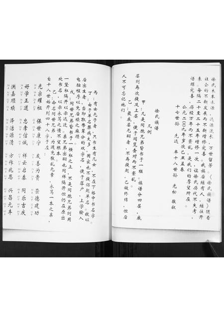 山东徐氏-徐氏族谱.pdf电子版预览图4