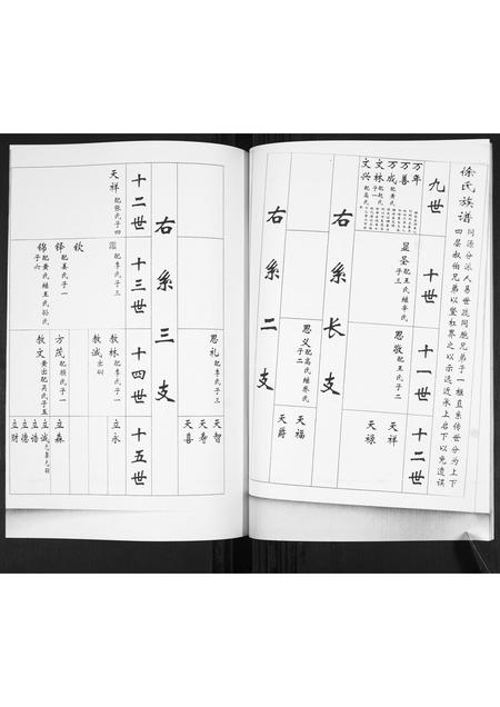 山东徐氏-徐氏族谱.pdf电子版预览图5