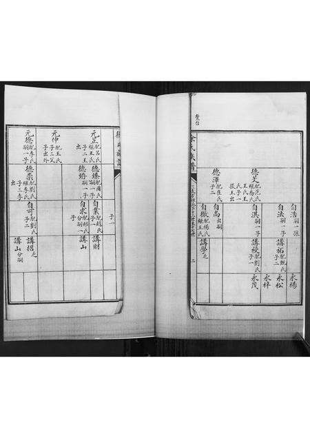 山东徐氏-徐氏族谱[2卷].pdf电子版预览图2