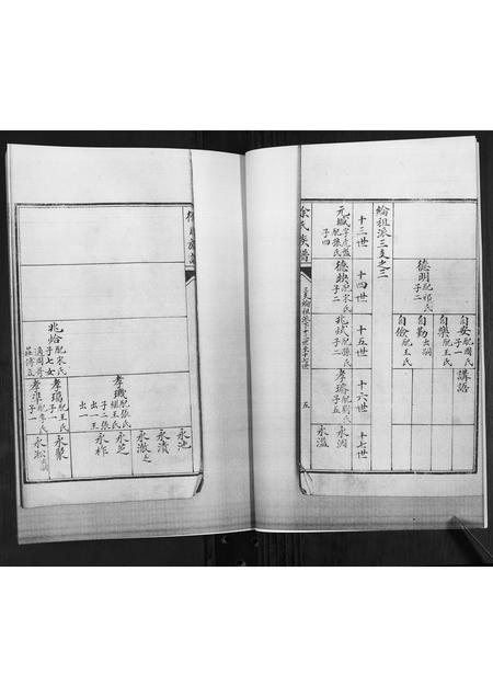 山东徐氏-徐氏族谱[2卷].pdf电子版预览图5