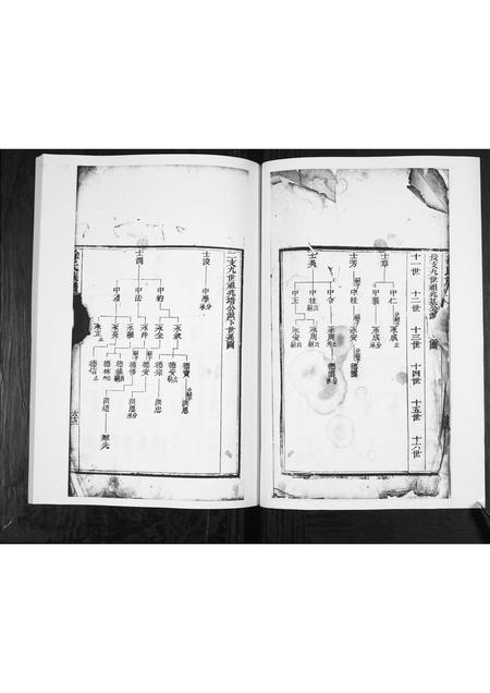 山东徐氏-徐氏族谱[2卷].pdf电子版预览图2