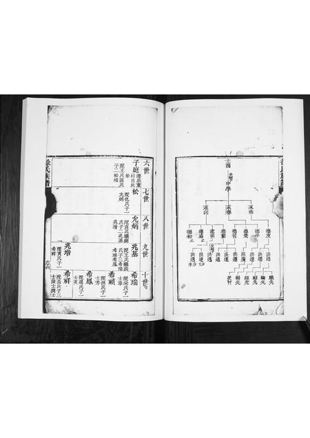 山东徐氏-徐氏族谱[2卷].pdf电子版预览图3
