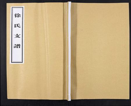 山东徐氏-徐氏族谱[不分卷].pdf电子版缩略图