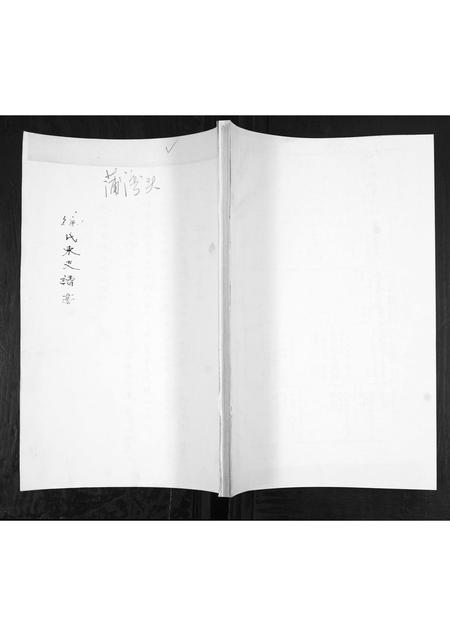 山东徐氏-徐氏东支谱书.pdf电子版缩略图