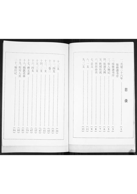 山东徐氏-徐氏东支谱书.pdf电子版预览图4