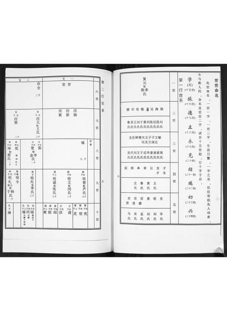 山东徐氏-徐氏东支谱书.pdf电子版预览图3