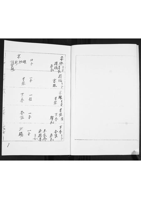 山东徐氏-徐氏谱书[不分卷].pdf电子版预览图3