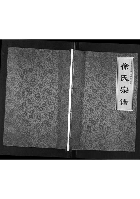 辽宁徐氏-徐氏宗谱[不分卷].pdf电子版缩略图