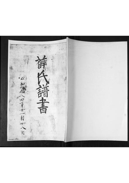 山东薛氏-薛氏谱书.pdf电子版缩略图