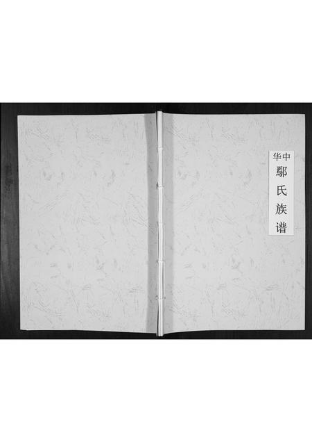 四川鄢氏-中华鄢氏族谱[不分卷].pdf电子版缩略图