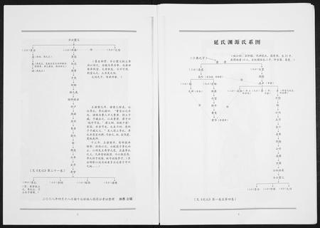 山东延氏-延氏族谱.pdf电子版预览图5